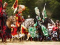 Medieval knights Horses Royalty Free Stock Photo
